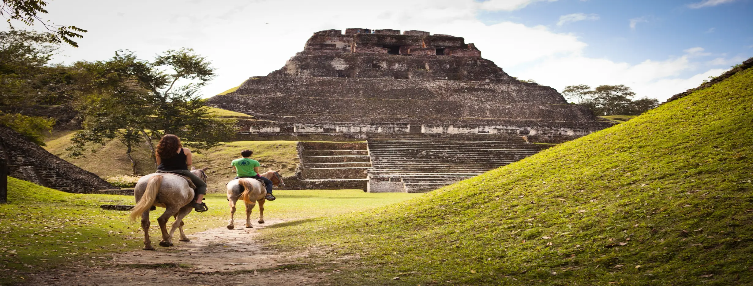 Image for Experience the Ancient Maya